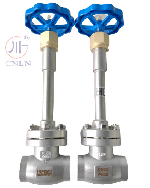 CF3/CF8 PN40 DN25 laagtemperatuur bolklep van roestvrij staal voor LNG/LOX/LN2/LAR/LCO2 tank/container/skid