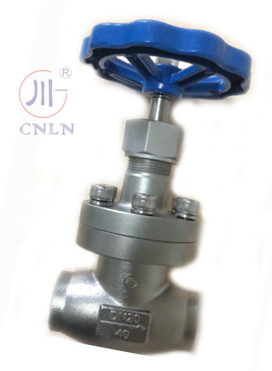 CNLN/Arman DJ61F-40P SS304/316 Cryogene bolklep korte stamtype A ((DN10-100mm) voor LNG/LOX/LN2 systemen. CE/ISO/EAC gecertificeerd.