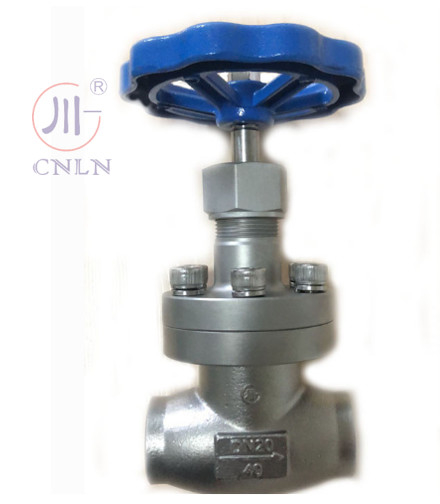 CNLN/Arman DJ61F-40P SS304/316 Cryogene bolklep korte stamtype A ((DN10-100mm) voor LNG/LOX/LN2 systemen. CE/ISO/EAC gecertificeerd.
