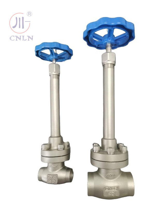 Handmatige cryogene bolklep van roestvrij staal DN25/DN15 voor LNG/LOX/LN2/LAR/LCO2