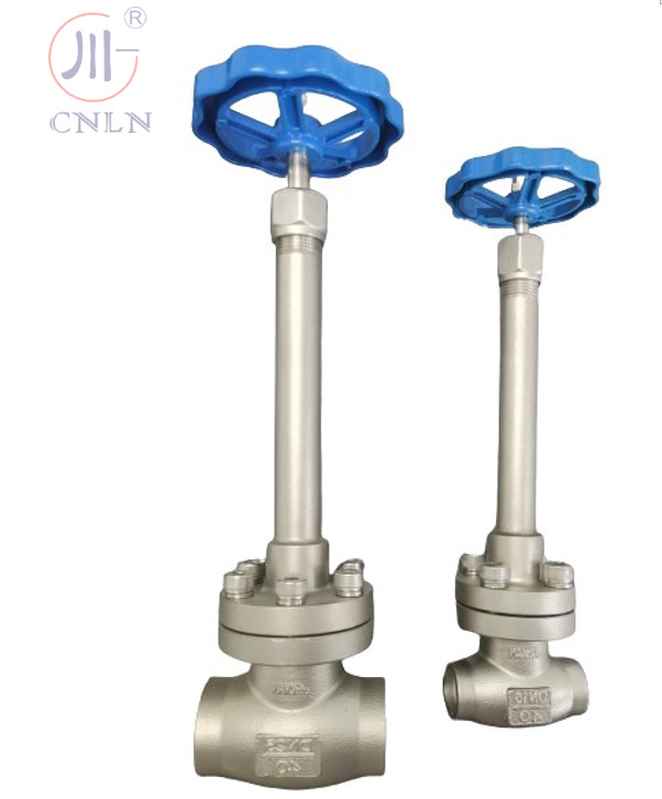 Handmatige cryogene bolklep van roestvrij staal DN25/DN15 voor LNG/LOX/LN2/LAR/LCO2