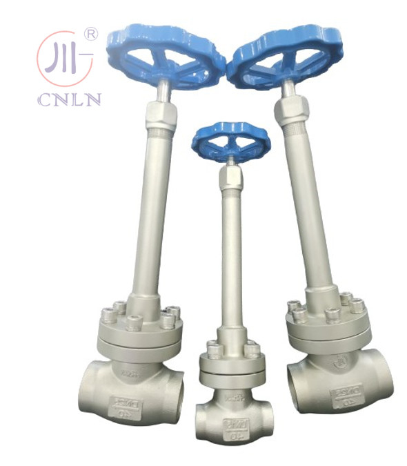 CF3/CF8 Handmatige cryogene bolklep DN25/DN15 voor LNG/LOX/LN2/LAR/LCO2