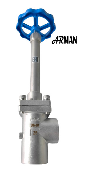 SS304/316 Cryogene bolklep langhoekig type (DN15-40mm) voor LNG