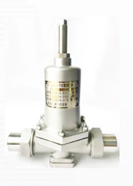 CNLN/Arman DY22F SS304/316 Cryogene drukverlagende klep (DN20-50mm) voor LNG/LOX/LN2 systemen. CE/ISO/EAC gecertificeerd.
