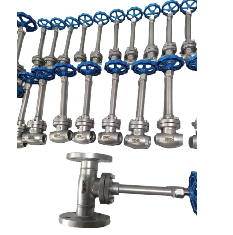 DN10-100 PN50 Socket Welding Cryogene Globe Valve -196- 80 °C voor LNG LOX LIN LAR LCO2