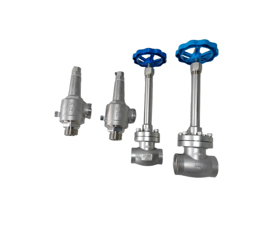 Cryogene globe valve socket welding -196~+80 °C voor LNG LOX LIN LAR LCO2 vloeibare gassen
