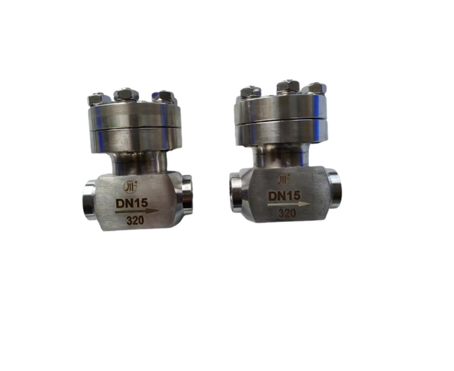 Socket Welding Connection High Pressure Check Valve voor cryogene vloeibare gassen Lox Lng Lin PN320 Valve