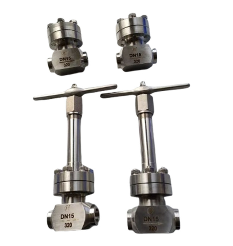 Socket Welding Connection High Pressure Check Valve voor cryogene vloeibare gassen Lox Lng Lin PN320 Valve