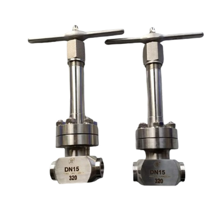 Socket Welding Connection High Pressure Check Valve voor cryogene vloeibare gassen Lox Lng Lin PN320 Valve