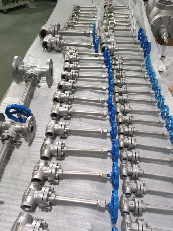 SS304 Cryogene Globe Klep DN10-DN100 -196°C tot +80°C LOX LIN LNG LAR