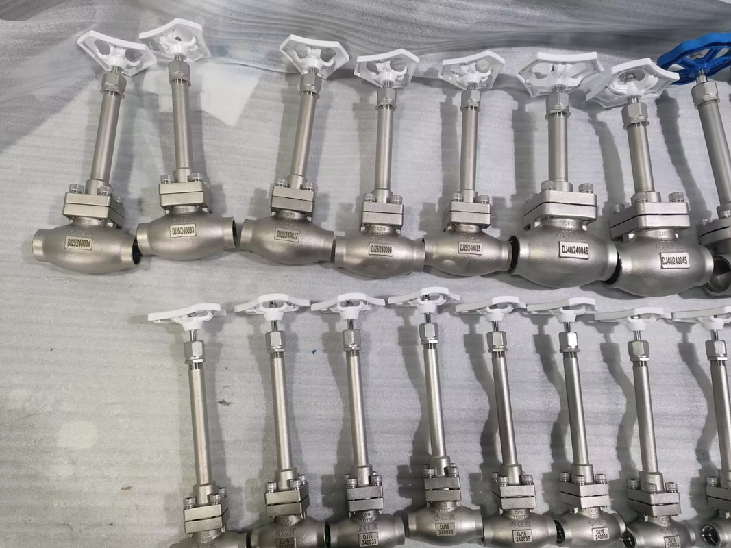 DN25 Cryogene bolklep roestvrij staal 304/316 met PTFE-dicht en CF8/CF3-klepkarosserie voor -196 °C tot +80 °C Toepassingen