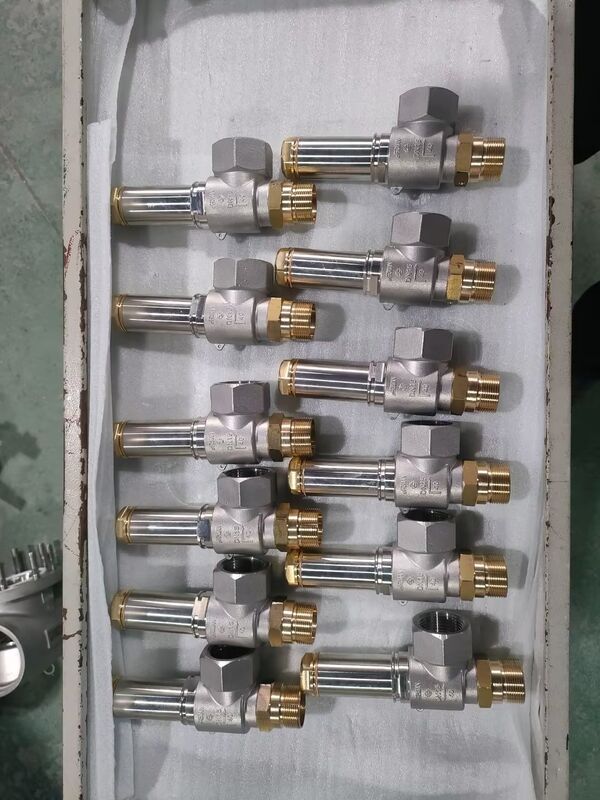 Roestvrijstalen Cryogene Veiligheidsklep 3/8''-2'' 4.0Mpa voor LNG LOX LIN LAR LCO2 Toepassingen