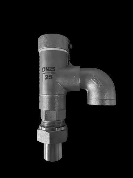 Cryogene veiligheidsklep van roestvrij staal: druk voor toepassingen van -196°C tot +120°C